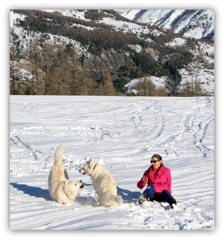 White Xmas 1/2
