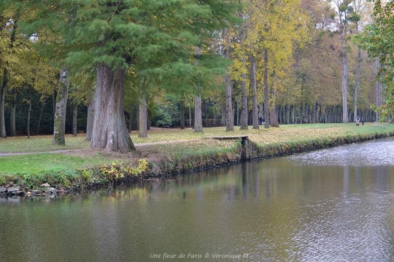 Rambouillet en manteau d’automne...