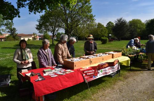 Huitième édition de notre troc de plants