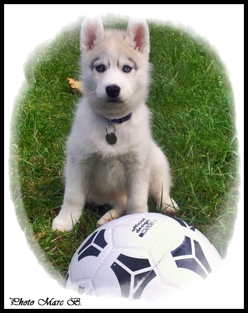 Priska (2 mois)