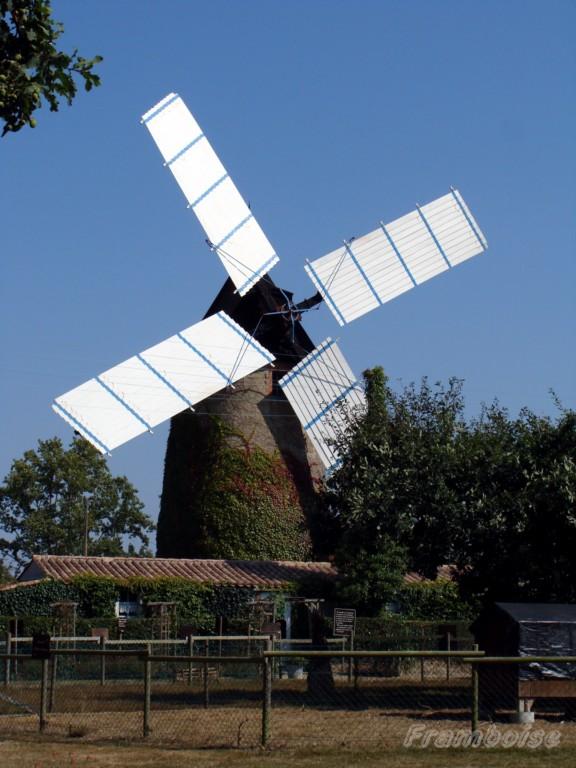 Moulin de Chateauneuf -85-