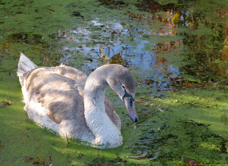 Après la tempête, le calme