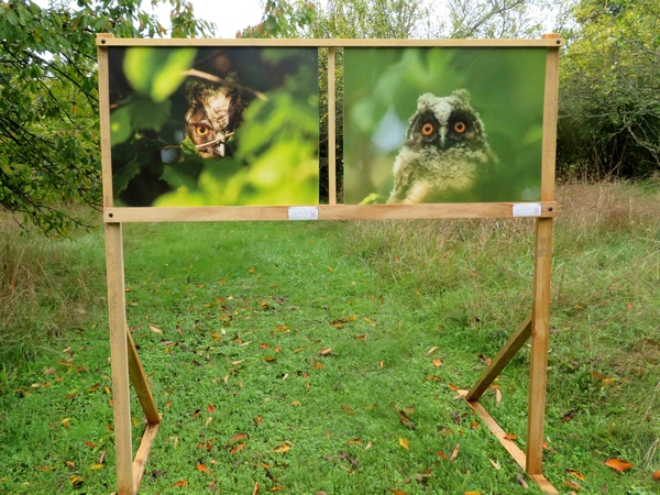 Une exposition de photographies aux Villas du Parc à Vanvey