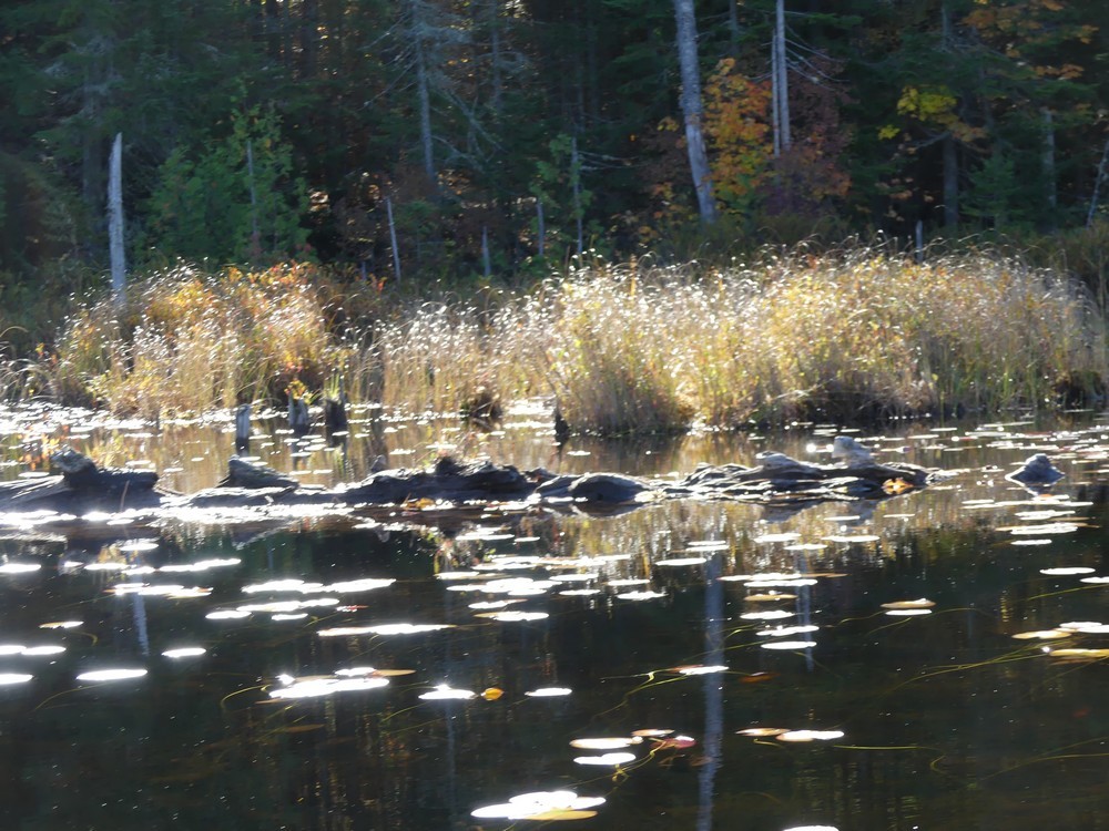 Rabaska à la pourvoirie du Lac Blanc au Canada...