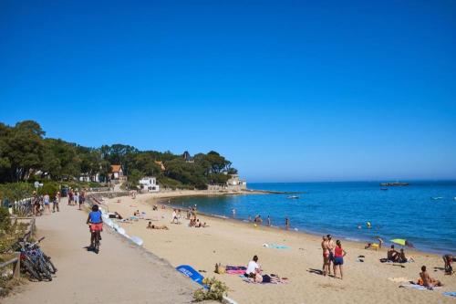 Ile de Noirmoutier  ( Vendée )