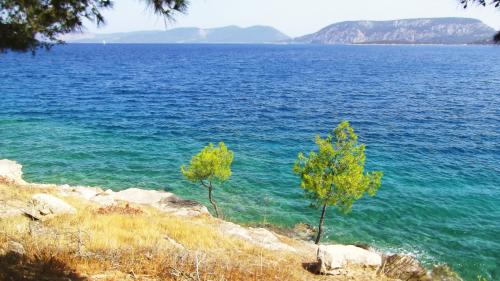 De SPETSAÏ à ERMIONI