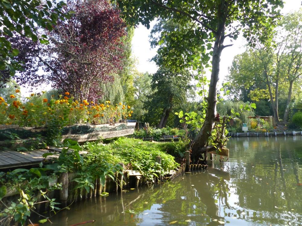 Amiens et ses Hortillonnages (1)