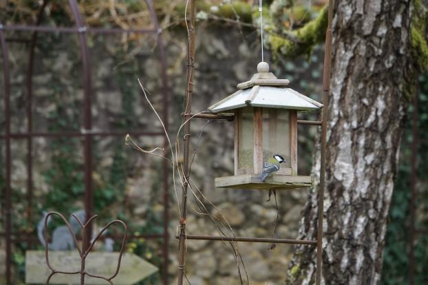 ouverture des restau-piafs