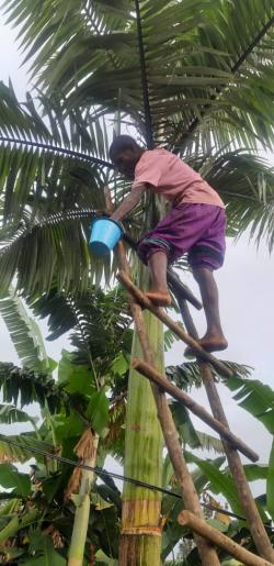News 2 Kivu