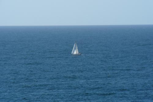 Bleu :