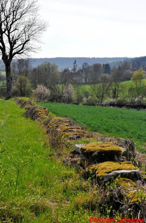 -La rencontre des Châtillon de France et d'ailleurs