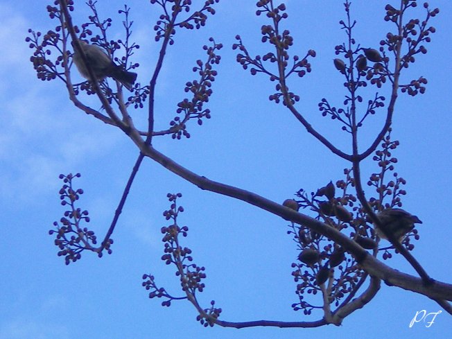 Image05.jpg