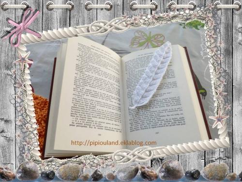 Mon marque page "plume"