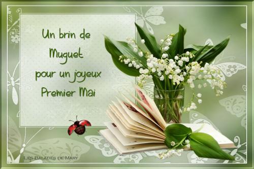 fleurs de mai
