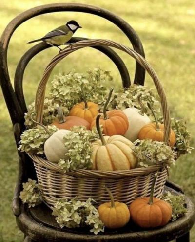 Belles images d'automne