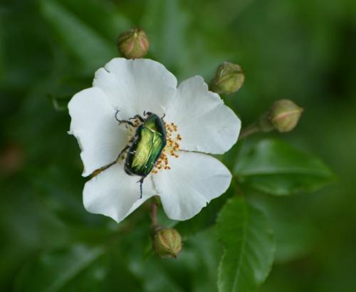 Randonnée "Au fil de l'eau" à NERS