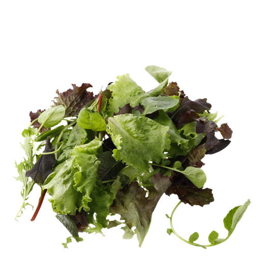 Légumes du mois de Juin
