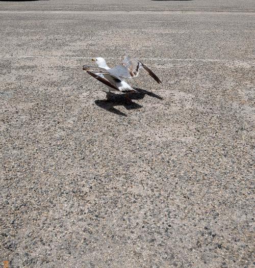 sur l'aire de Caro (dept13)