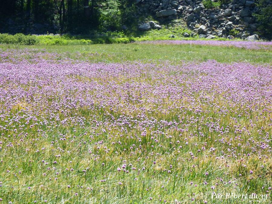 le lac d'Allos dept 04 (4)