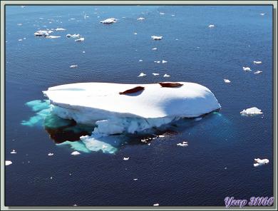 Un glaçon? Avec ou sans phoque? - Gerlache Strait - Péninsule Antarctique