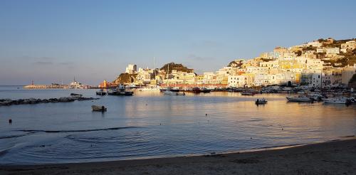 PONZA 1/2
