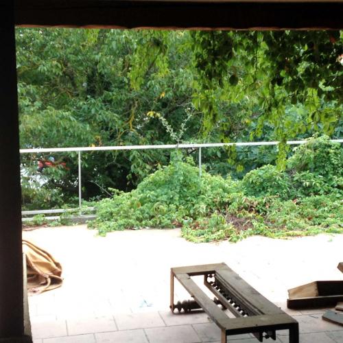 Enorme maison vandalisée, squatée encore intriguante