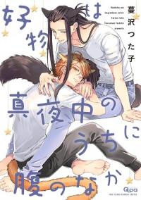 Découvrez les meilleurs mangas Boy's Love 2020 !