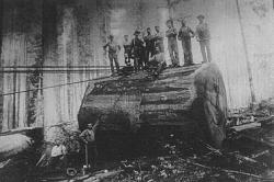 Un retour sur le passé avant les scies à chaînes