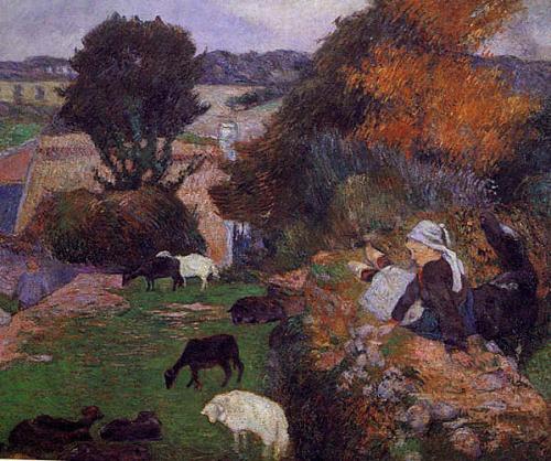 Le mouton des landes de Bretagne