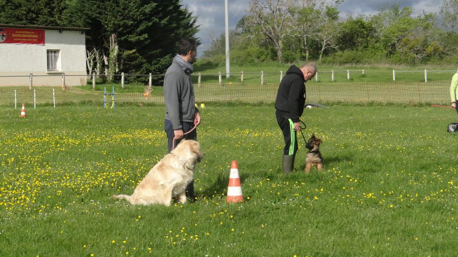 Ugo le chien qui ne parle pas français e même Allemand