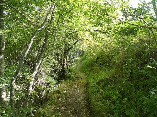 Lac de Saint Léger (St Jean-Montclar)