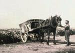 photo début de la collecte des déchets ménagers