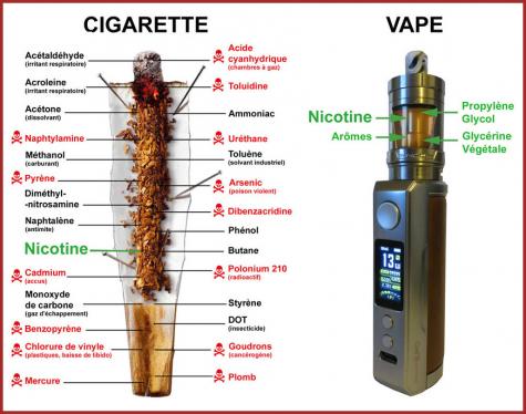 ღ꧁ღ╭⊱ꕥ  Le Vapotage  ꕥ⊱╮ღ꧂ღ