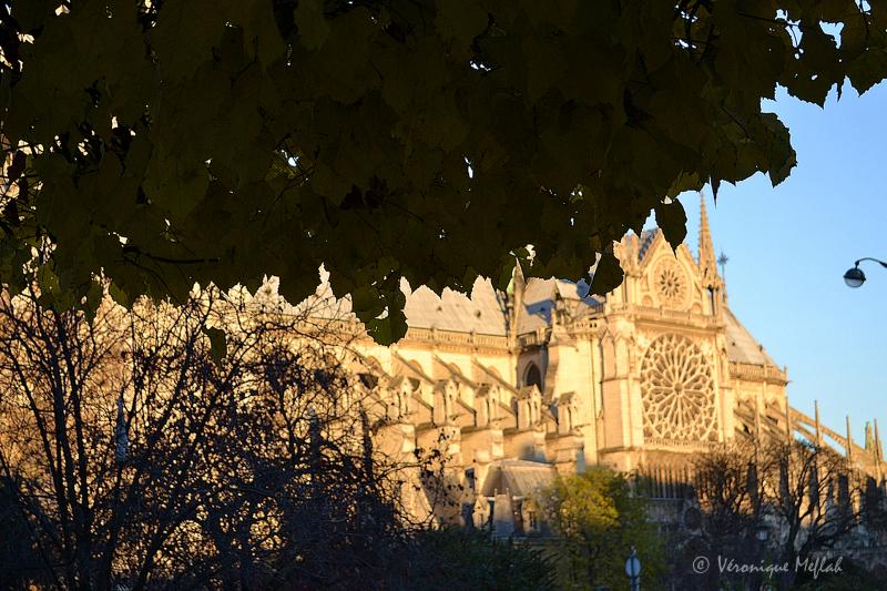Histoire de Notre-Dame de Paris et une petite question ...