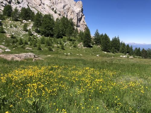Col de Terre Blanche