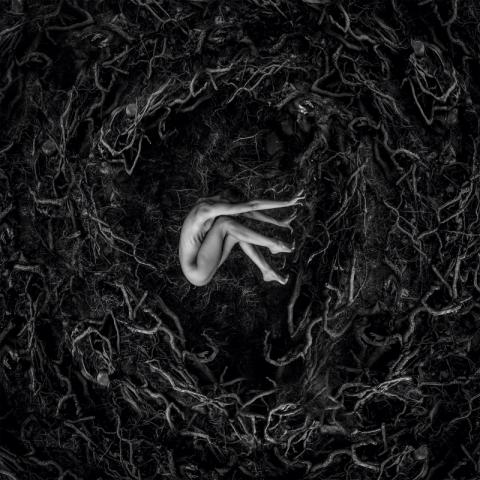 FVNERALS - "Ashen Era" Clip