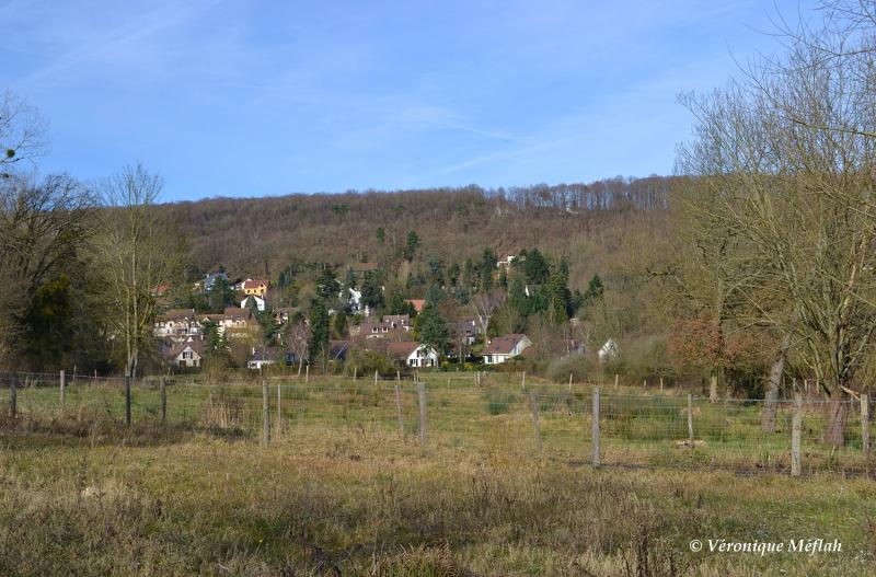 Parc naturel régional de la Vallée de Chevreuse : Chevreuse
