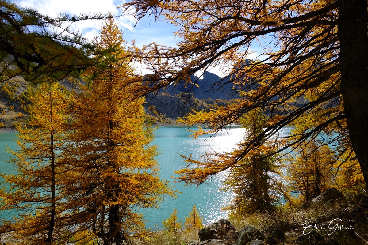 Féerie d'Automne