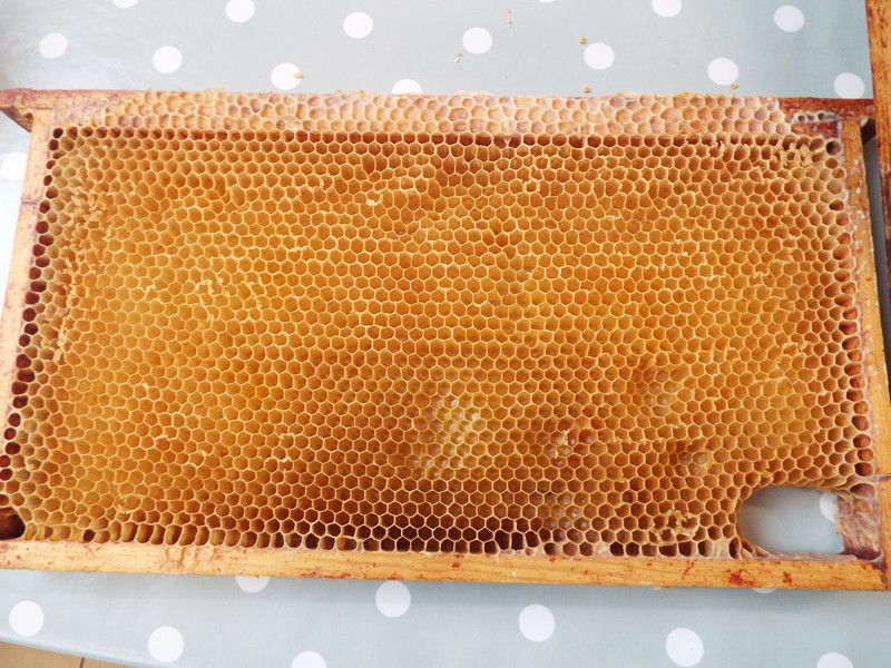 "l'abeille et son miel" ...