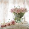 bouquet de roses