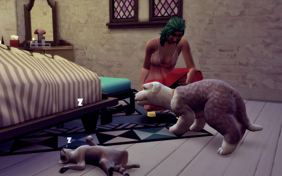 [CALF] Huver 3 - Semaine 15 - Jours 104 à 107