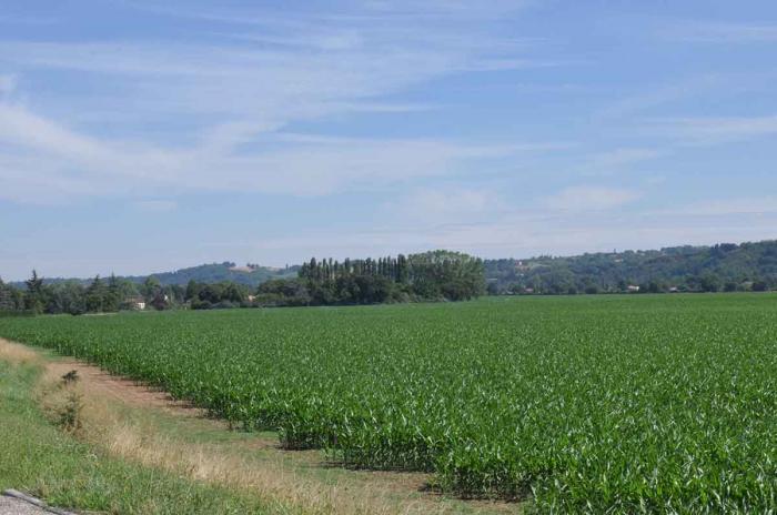 Département duTarn et Garonne