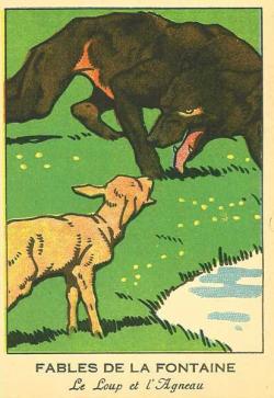 Loups de Sibérie (Canis lupus albus)