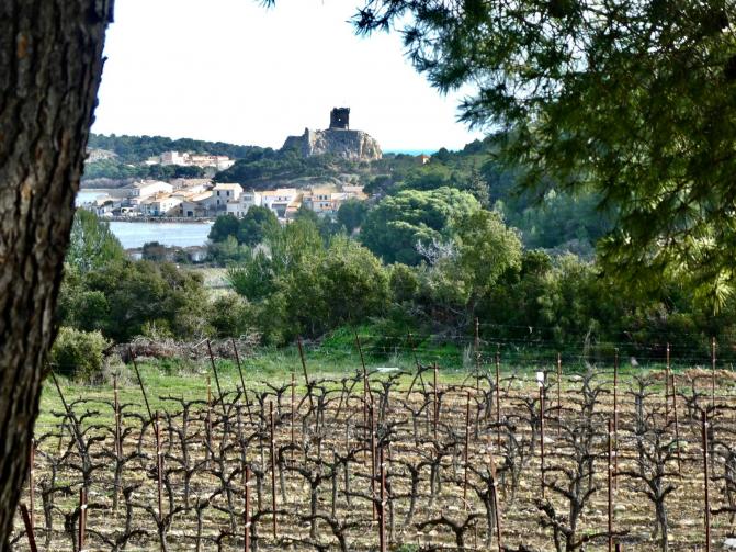 Peut être une image de nature