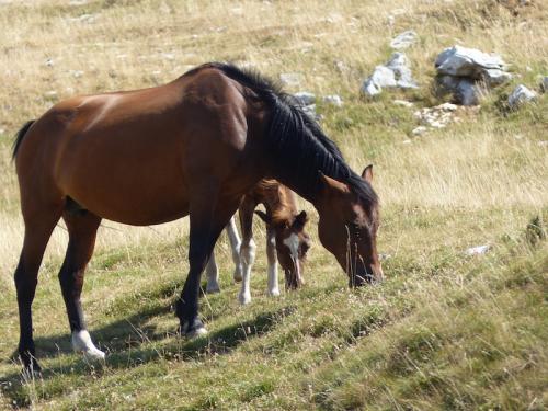 Le Sentier du Karst (Vercors Dromois)