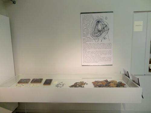 "Sur les routes du vase", une très belle exposition au Musée du Pays Châtillonnais-Trésor de Vix