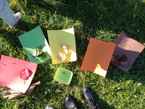 Les couleurs des feuilles d'automne