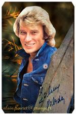 Fond ecran johnny hallyday009