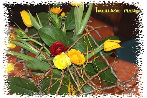 03 02 03 10 treillage fleuri (4)