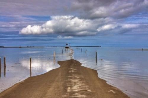 Ile de Noirmoutier  ( Vendée )
